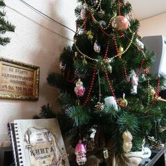 Мини-отель 101, Кронштадт, Ленинградская область