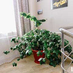 Гостиница Лада, Кропоткин, Краснодарский край