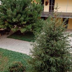 Отель Дальний Кордон, Кропоткин, Краснодарский край