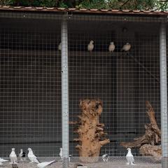 Отель Дальний Кордон, Кропоткин, Краснодарский край