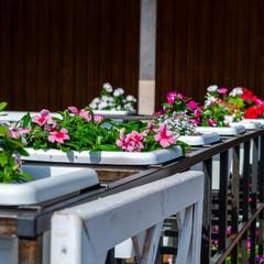 Отель Ной (Кропоткин, Краснодарский край), Кропоткин, Краснодарский край