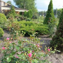 Гостиница ГРК-Калипсо, Кстово, Нижегородская область