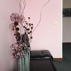 Отель Каменка, Кувшиново, Тверская область