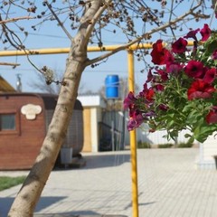 Рыболовная база Рыболовная база ФораФиш, Кудрино, Астраханская область