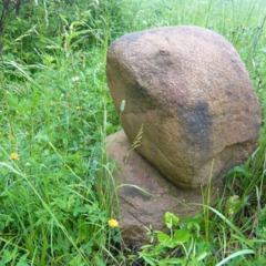 Клуб отдыха Серые волки, Кузьмино, Костромская область