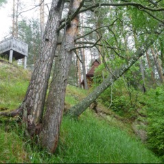 Клуб отдыха Серые волки, Кузьмино, Костромская область