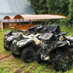 Клуб отдыха Серые волки, Кузьмино, Костромская область