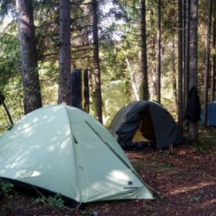 Клуб отдыха Серые волки, Кузьмино, Костромская область