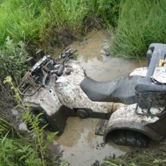 Клуб отдыха Серые волки, Кузьмино, Костромская область