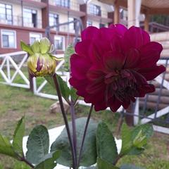 Гостевой дом Байкальский Рай, Култук, Иркутская область