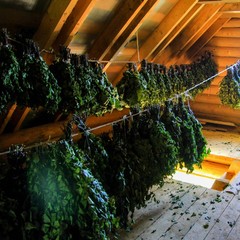 База отдыха Зайкина избушка, Пермский район, Пермский край