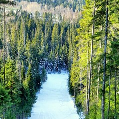 База отдыха Зайкина избушка, Пермский район, Пермский край