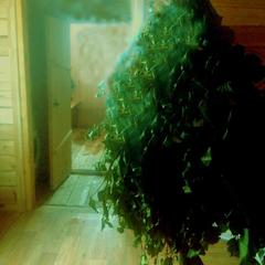 База отдыха Золотая Антилопа, Курма, Иркутская область