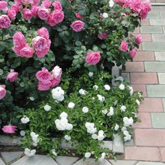 Дом семейного отдыха Анкор, Крым