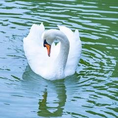 Загородный комплекс Русская Охота, Курумоч, Самарская область