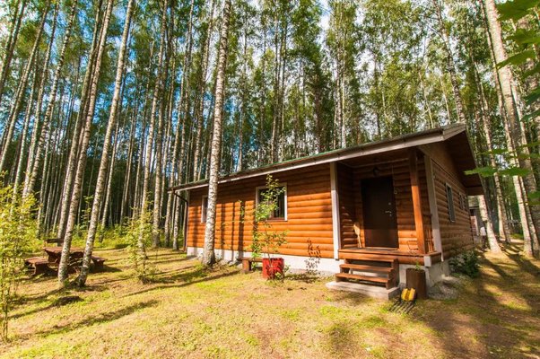 Рыбачий берег — фото 2