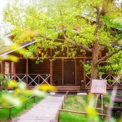 База отдыха Рыбачий берег, Кутузовское, Ленинградская область