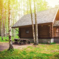 База отдыха Рыбачий берег, Кутузовское, Ленинградская область