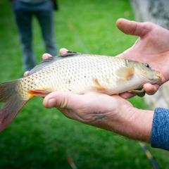 Загородный комплекс Русская Охота, Курумоч, Самарская область