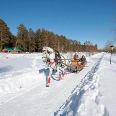 Загородный комплекс Русская Охота, Курумоч, Самарская область