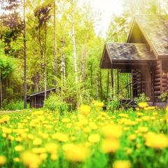 База отдыха Рыбачий берег, Кутузовское, Ленинградская область