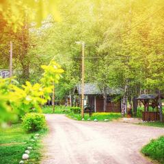 База отдыха Рыбачий берег, Кутузовское, Ленинградская область