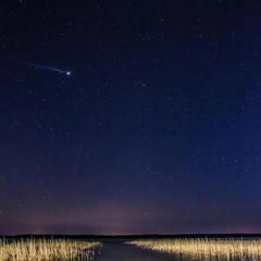 База отдыха Рыбачий берег, Кутузовское, Ленинградская область