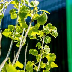 Отель Кучугуры, Кучугуры, Краснодарский край