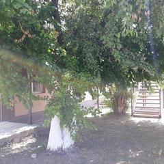 Гостевой дом Центральный, Кучугуры, Краснодарский край