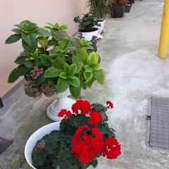 Гостевой дом Центральный, Кучугуры, Краснодарский край