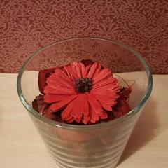 Гостевой дом Центральный, Кучугуры, Краснодарский край