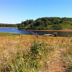 База отдыха Куя-Белое море, Куя, Архангельская область