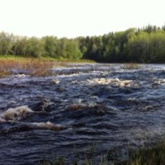 База отдыха Куя-Белое море, Куя, Архангельская область