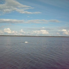 База отдыха Куя-Белое море, Куя, Архангельская область