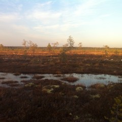 База отдыха Куя-Белое море, Куя, Архангельская область