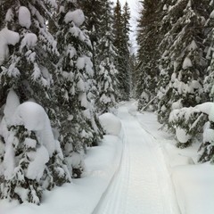 База отдыха Куя-Белое море, Куя, Архангельская область