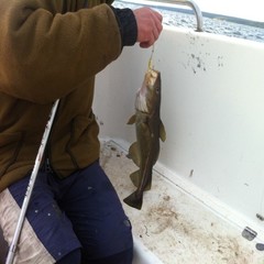 База отдыха Куя-Белое море, Куя, Архангельская область