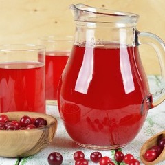 База отдыха Куя-Белое море, Куя, Архангельская область