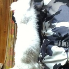 База отдыха Куя-Белое море, Куя, Архангельская область