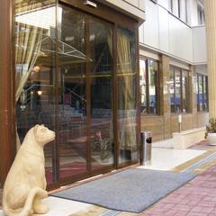 Отель Дельфин, Лазаревское, Краснодарский край