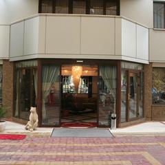 Отель Дельфин, Лазаревское, Краснодарский край