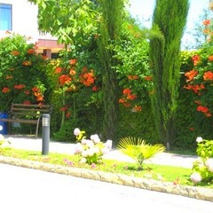 Гостиница HOLIDAY, Лазаревское, Краснодарский край