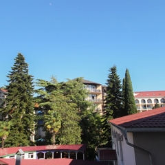 Отель Дельфин, Лазаревское, Краснодарский край