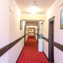 Отель Дельфин, Лазаревское, Краснодарский край