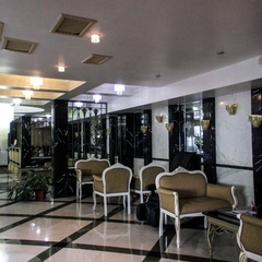 Отель Дельфин, Лазаревское, Краснодарский край