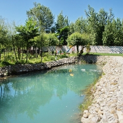 Отель Вилла Море, Сочи, Краснодарский край