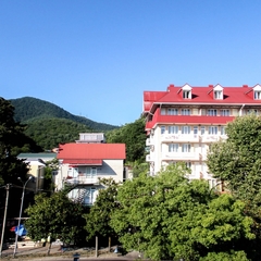 Отель Дельфин, Лазаревское, Краснодарский край