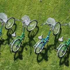 Отель Вилла Море, Сочи, Краснодарский край