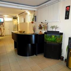 Гостиница Афалина, Лазаревское, Краснодарский край