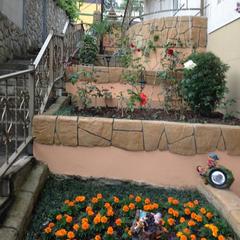 Отель Континент, Лазаревское, Краснодарский край